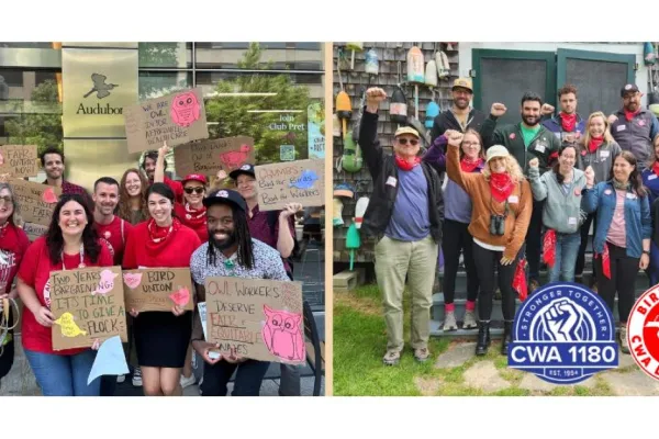 Bird Union First Contract