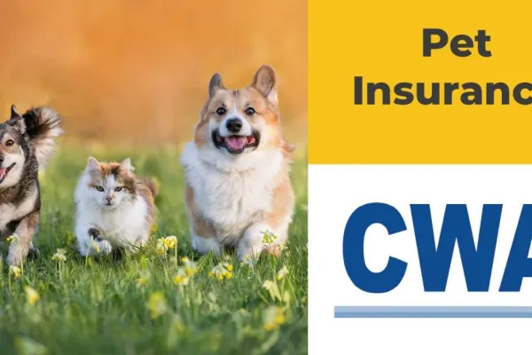 Union Plus Pet Insurance