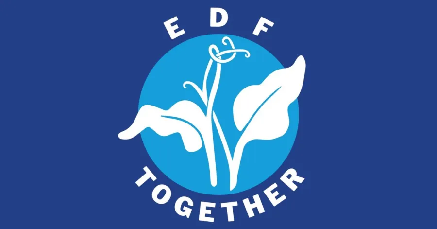 EDF Together